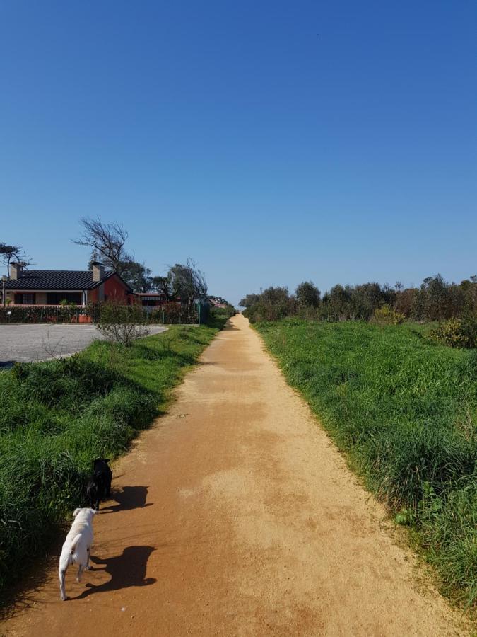 איזמוריס Beachwalk Guesthouse מראה חיצוני תמונה